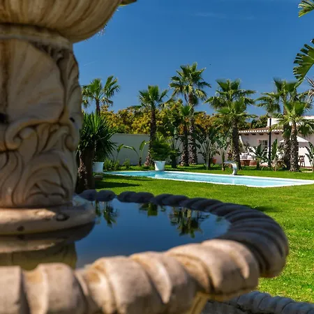 Bambú Mijas -málaga
